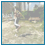 Video 5